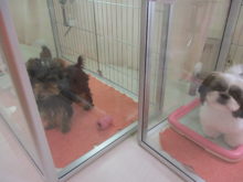 お隣さん(*´ω｀*)