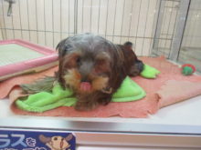 やんちゃ(ﾟ∀ﾟ)