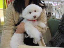 家族が決まりました(^-^)