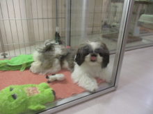 おっとり(*´ω｀*)