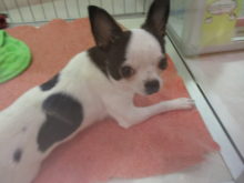 ひな祭り(*´▽｀*)