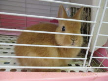 新メンバー(^ω^)