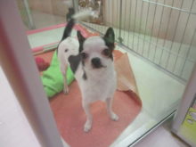 ぐるり( *｀ω´)