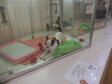 何だ？( ´▽｀)