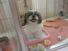 土曜日（＾∇＾）