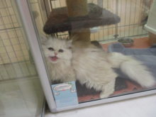 春分の日(･∀･)