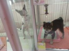 遊んでー(*´▽｀*)