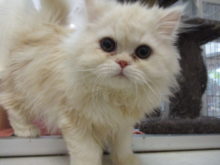 エキゾ君(=‘ｘ‘=)