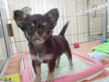 へへっ(*´∀｀)