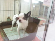 こどもの日(^O^)