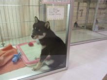 GW最終日(・∀・)