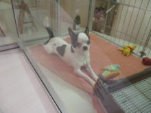 母の日(*´∀｀)