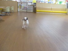 スムース君(^O^)