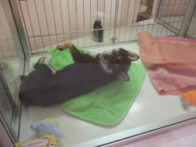 ふいっ(ﾟ∀ﾟ)