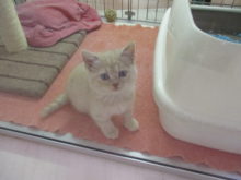 ジメジメ(￣▽￣)