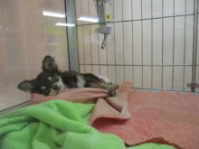 ねがお( ´ ▽ ` )