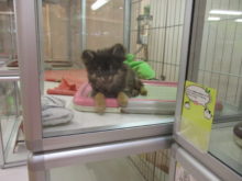 お昼寝(´∀｀*)