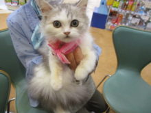 家族が決まりました(ﾟ∀ﾟ)