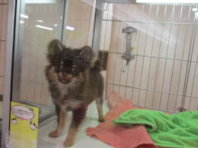 ３連休(*ﾟ∀ﾟ*)