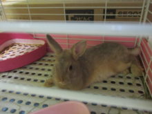 まったり(*´∀｀*)