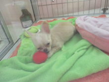 土曜日(*´∀｀)