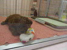 ３連休(*ﾟ∀ﾟ*)