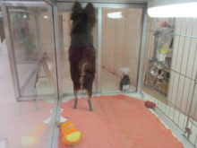 後ろ姿(*´ω｀*)