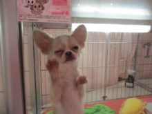 ３連休２日目(^-^)/