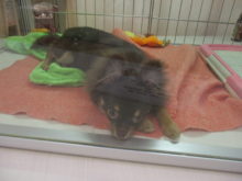 体育の日(*´▽｀*)