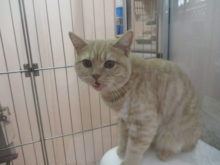 謹賀新年(*´∀｀*)