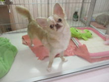 月曜日(*´∀｀)