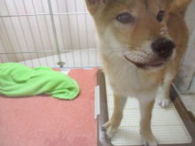 ３連休( *｀ω´)