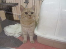 ポトッ(・∀・)