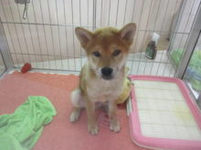 休み明け( ´ ▽ ` )