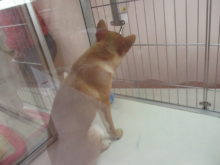 今日のポチたま(^-^)