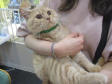 家族が決まりました(=‘ｘ‘=)