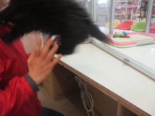 元気いっぱいo(^▽^)o