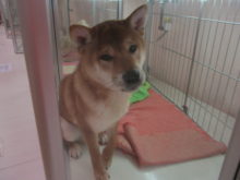 お隣さん(*´ω｀*)