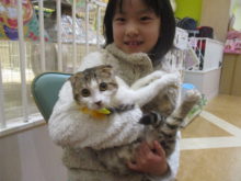 家族が決まりました(ﾟ∀ﾟ)