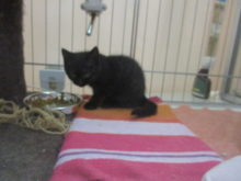 春分の日(*´∀｀)