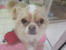 不意打ち( *｀ω´)