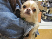 家族が決まりました(´∀｀)