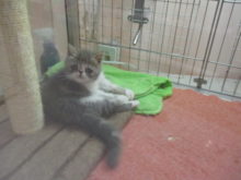 みどりの日(*^_^*)