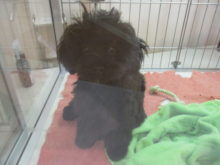 母の日(*ﾟ∀ﾟ*)