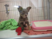 無表情(´・ω・｀)