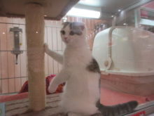 毛づくろい(*´ω｀*)