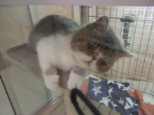 無気力(*´д｀*)