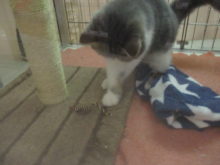 エキゾ君のお気に入り(^O^)