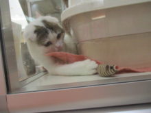 スコさんのお気に入り(^O^)