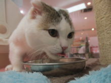 ご飯タイム( ´艸｀)